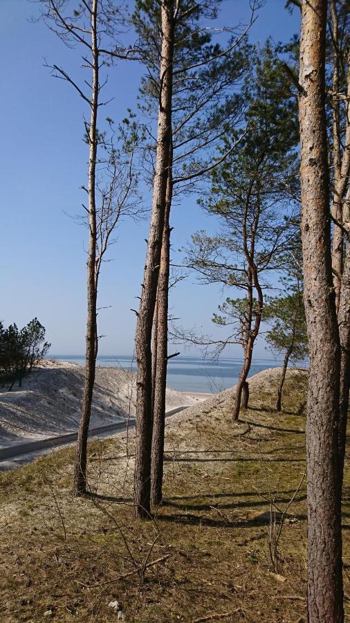 Apartament Premium Baltic House Międzywodzie Kültér fotó